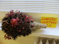 /album/vytvarna-soutez/img-0967-jpg/